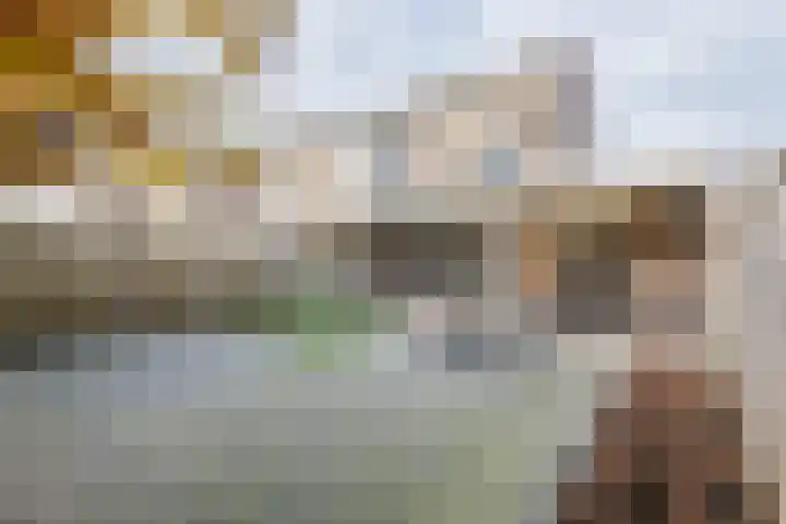 Zonnedauw 51 Tiel thumbnail 6