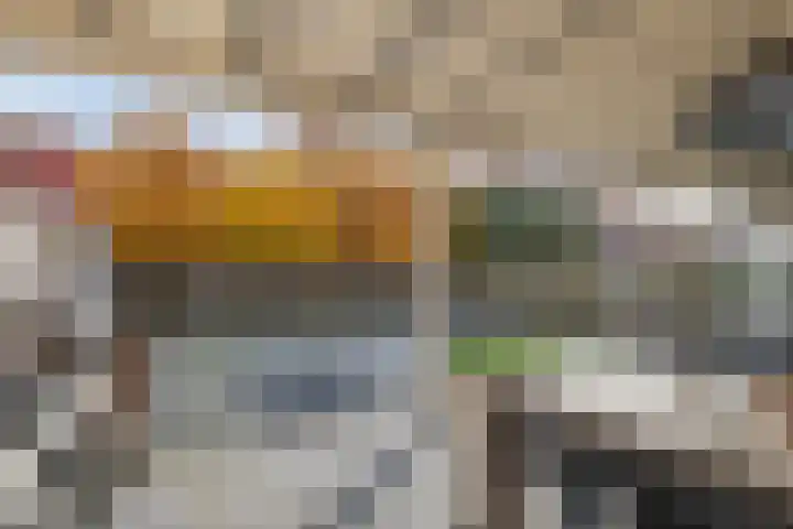 Zonnedauw 51 Tiel thumbnail 7