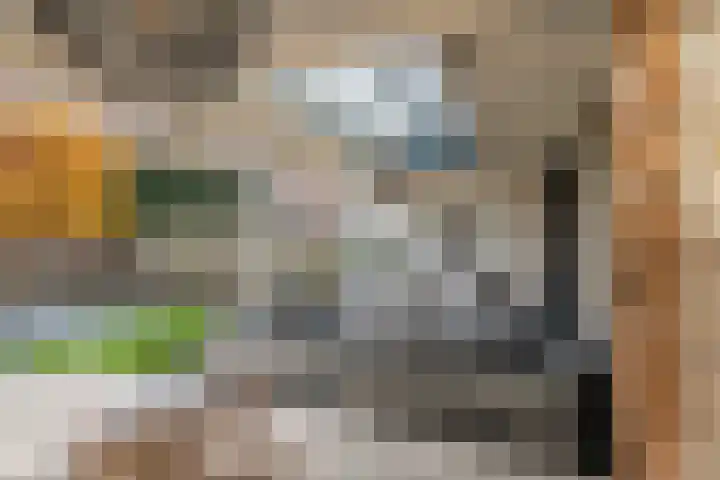 Zonnedauw 51 Tiel thumbnail 8