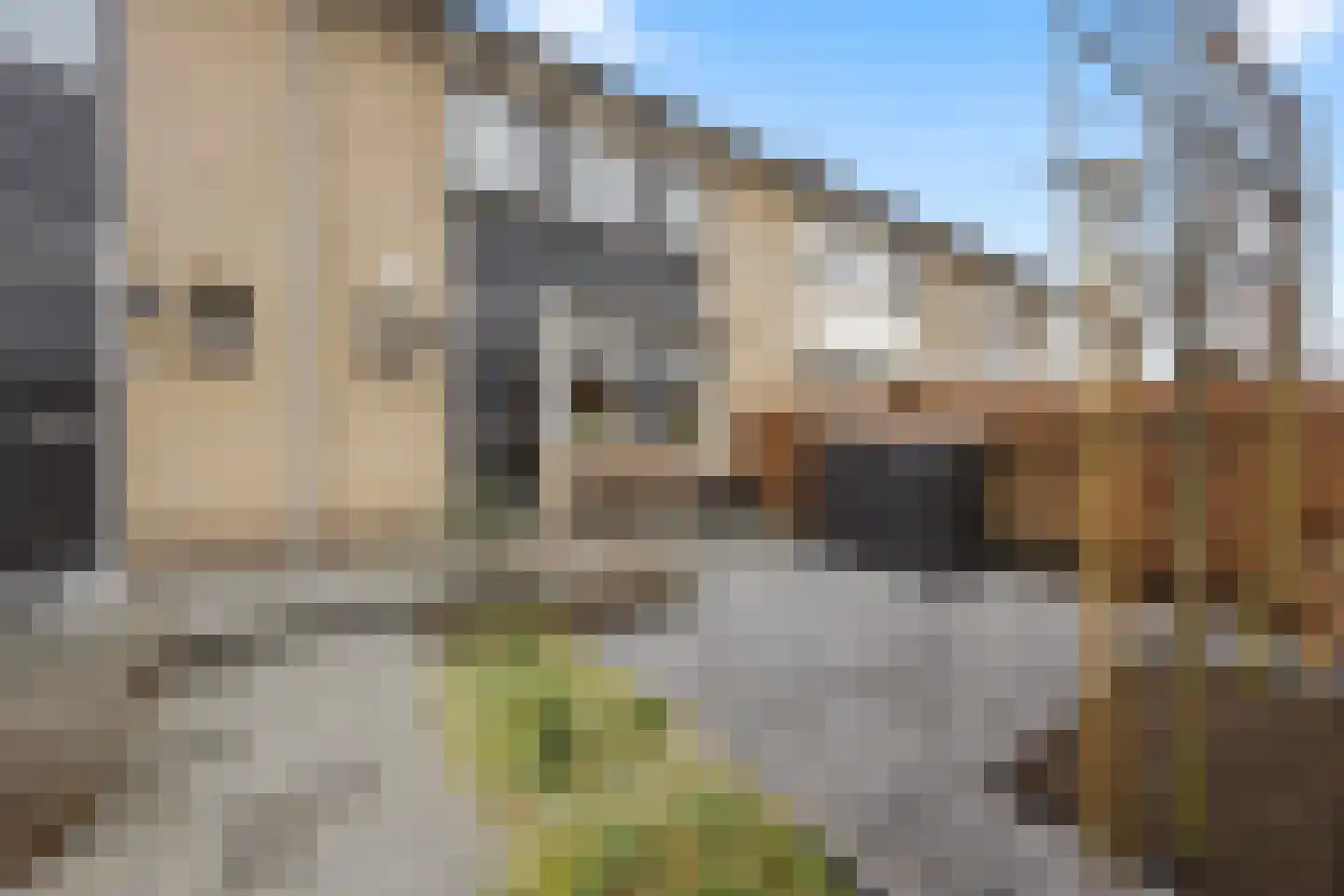 Zonnedauw 55 Stroe