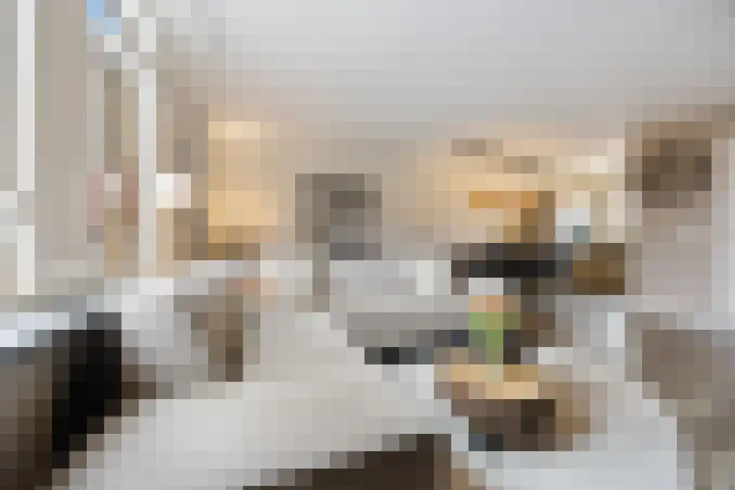 Zonnedauw 55 Stroe thumbnail 10