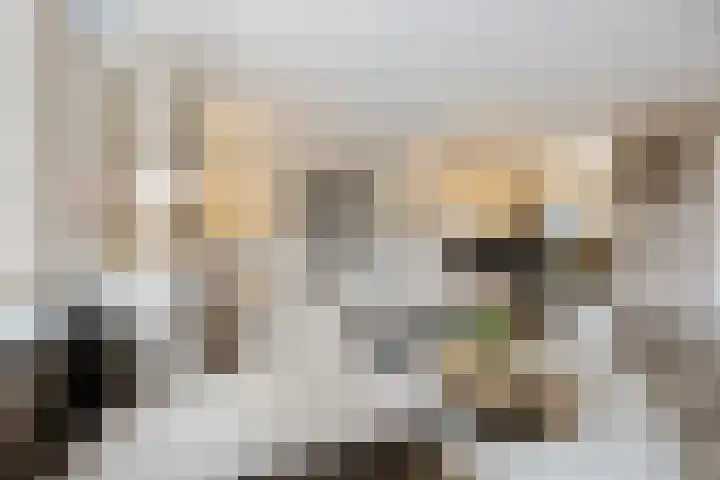 Zonnedauw 55 Stroe thumbnail 10