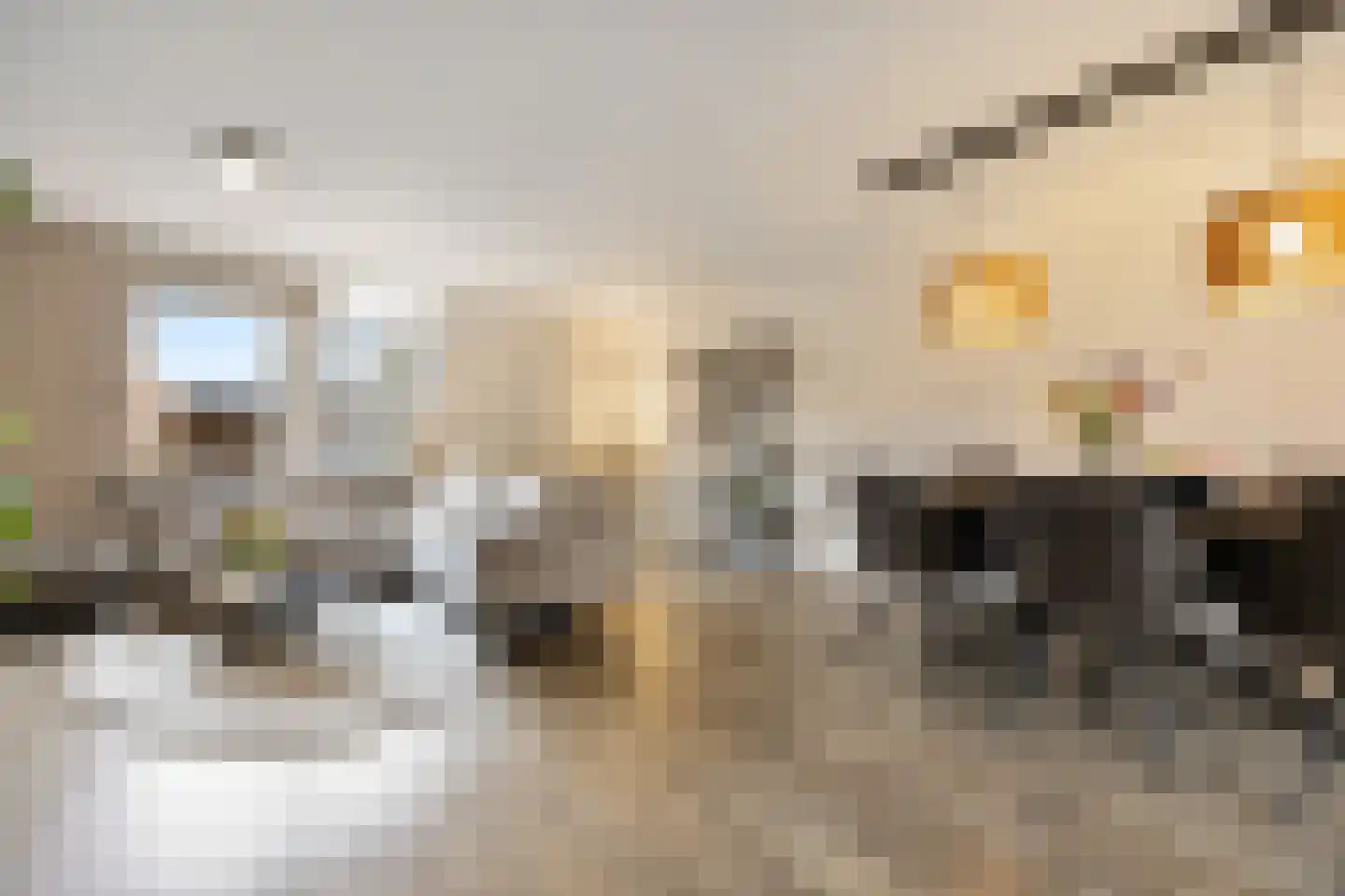 Zonnedauw 55 Stroe thumbnail 11