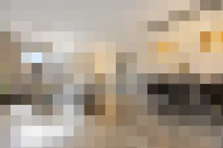 Zonnedauw 55 Stroe thumbnail 11
