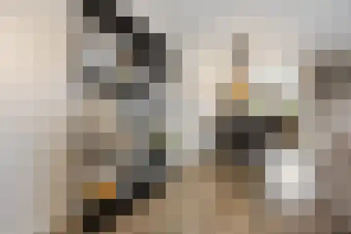 Zonnedauw 55 Stroe thumbnail 12