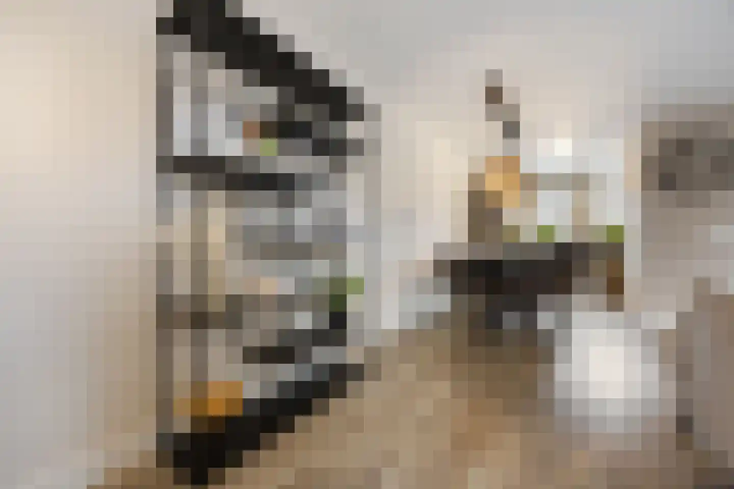 Zonnedauw 55 Stroe thumbnail 12
