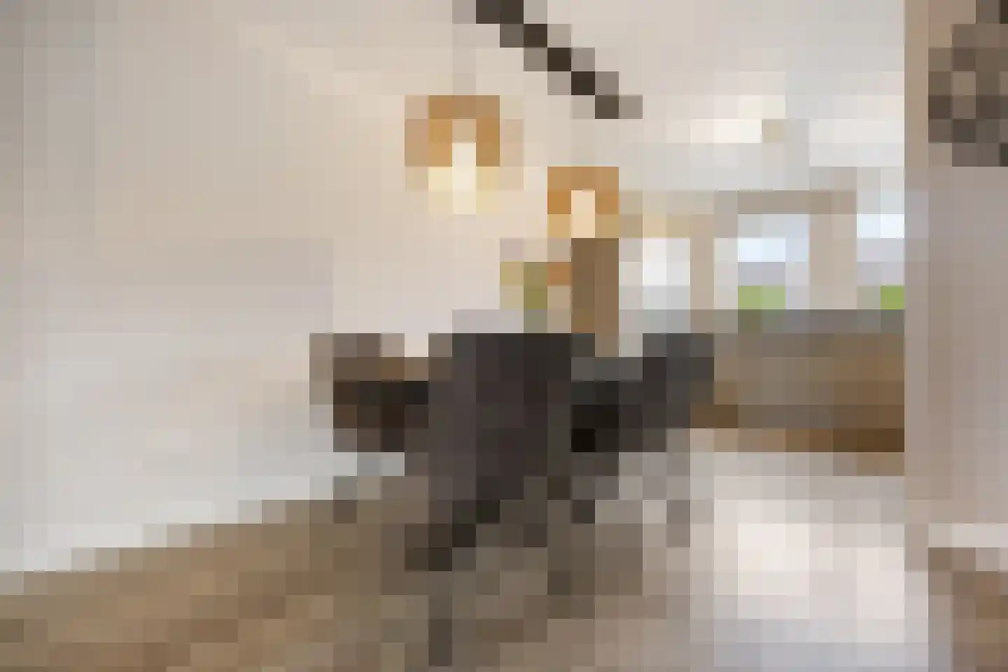 Zonnedauw 55 Stroe thumbnail 13
