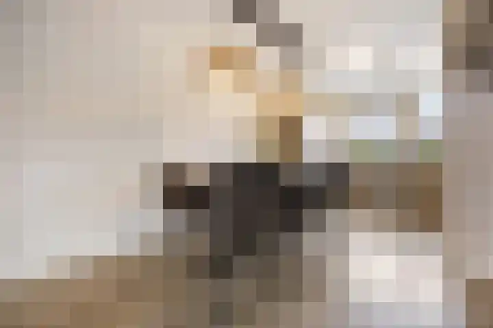 Zonnedauw 55 Stroe thumbnail 13