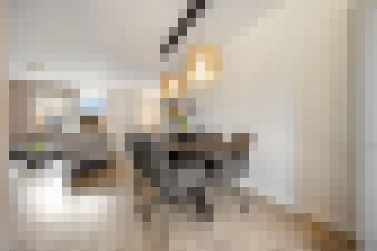Zonnedauw 55 Stroe thumbnail 14