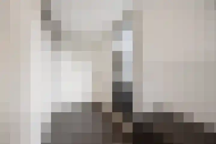 Zonnedauw 55 Stroe thumbnail 18