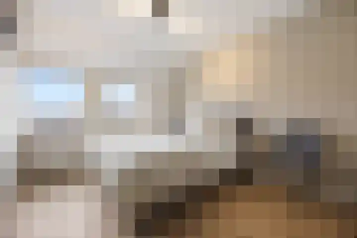 Zonnedauw 55 Stroe thumbnail 21