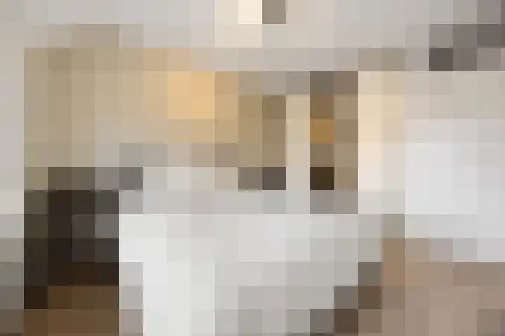 Zonnedauw 55 Stroe thumbnail 22
