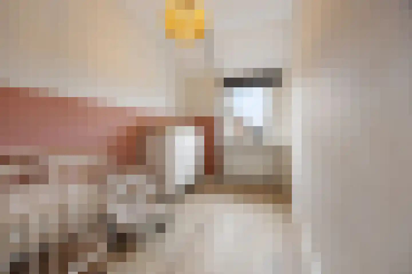Zonnedauw 55 Stroe thumbnail 23