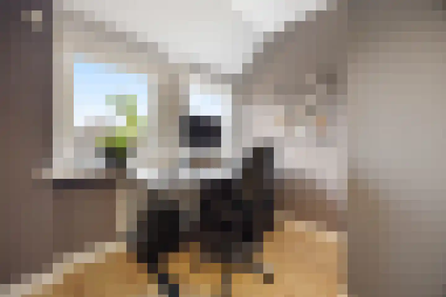 Zonnedauw 55 Stroe thumbnail 25