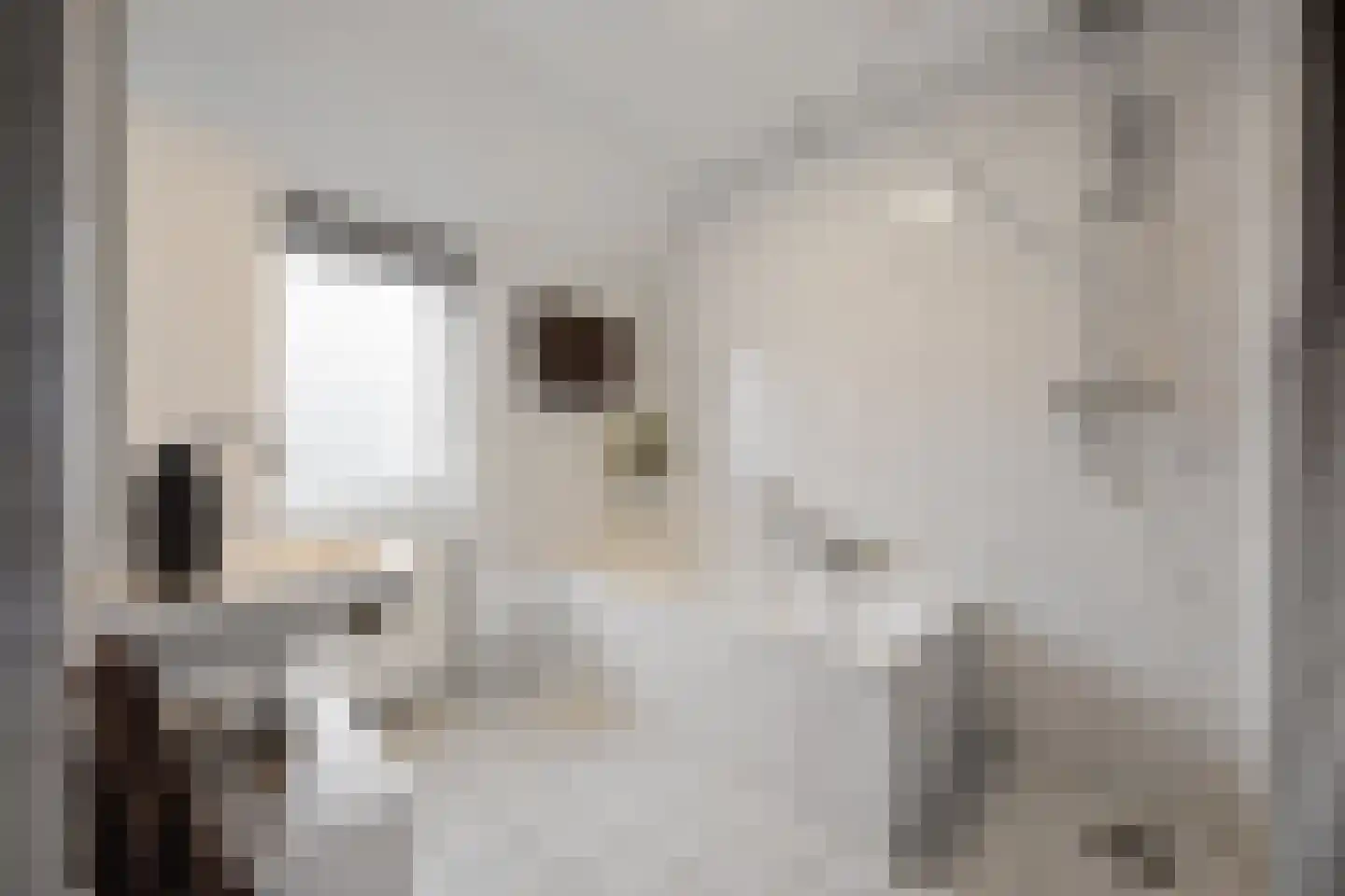 Zonnedauw 55 Stroe thumbnail 28