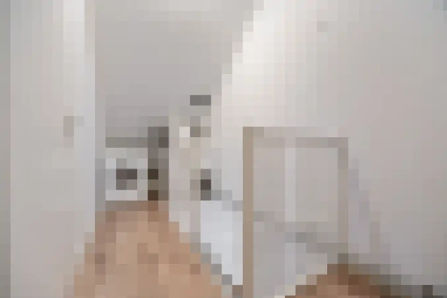 Zonnedauw 55 Stroe thumbnail 30
