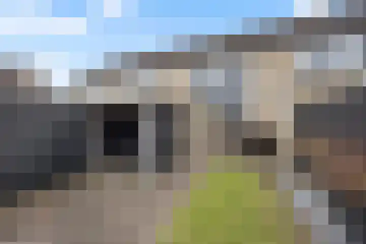 Zonnedauw 55 Stroe thumbnail 34