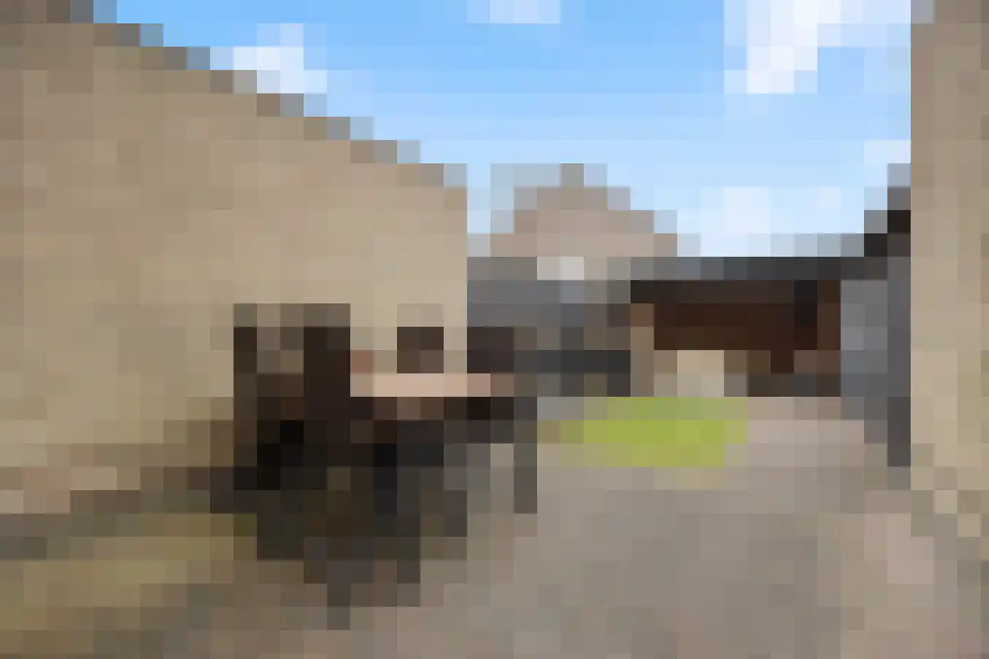 Zonnedauw 55 Stroe thumbnail 35