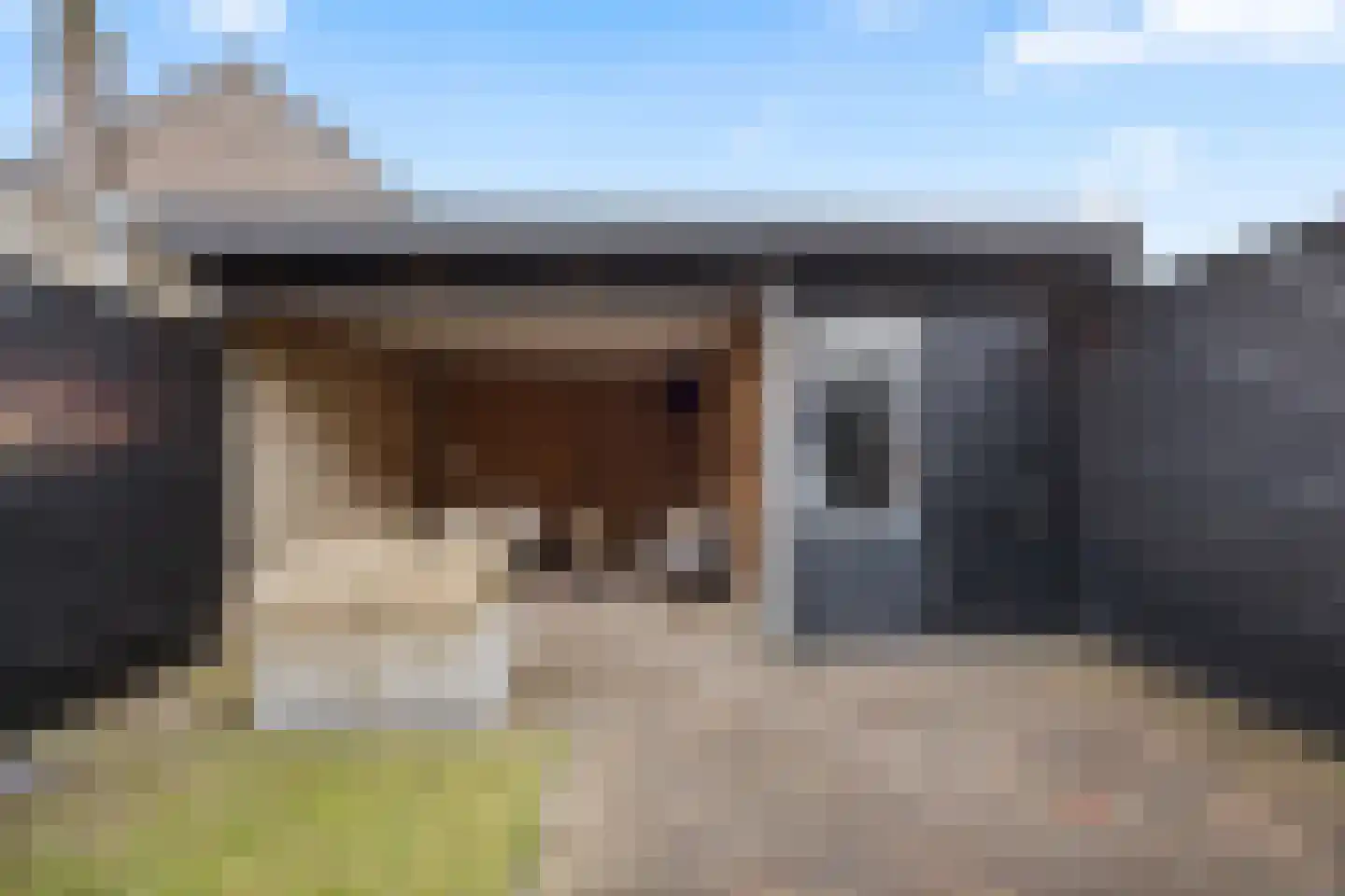 Zonnedauw 55 Stroe thumbnail 36