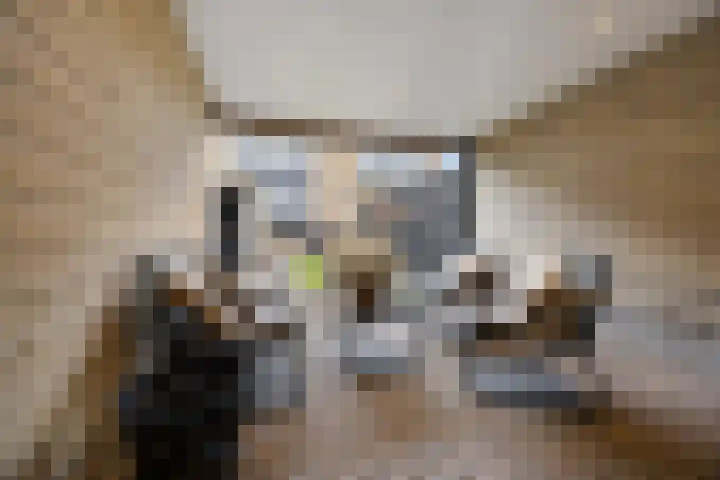 Zonnedauw 55 Stroe thumbnail 37