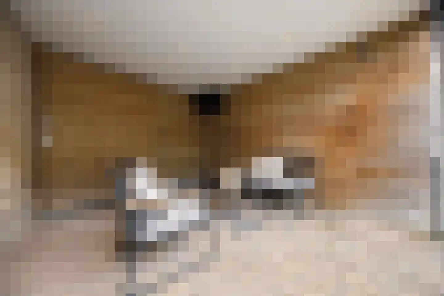 Zonnedauw 55 Stroe thumbnail 38