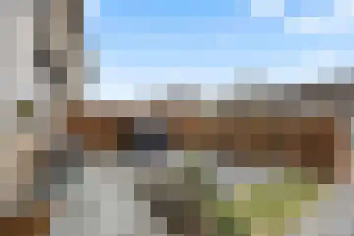 Zonnedauw 55 Stroe thumbnail 40