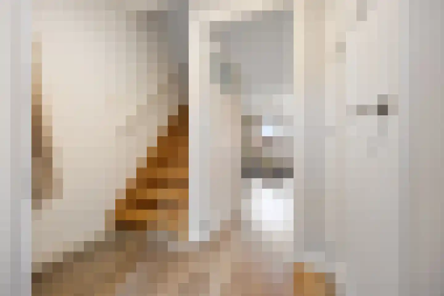 Zonnedauw 55 Stroe thumbnail 7
