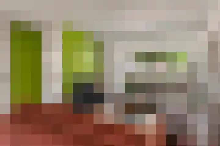 Zonnedauw 56 Tiel thumbnail 11
