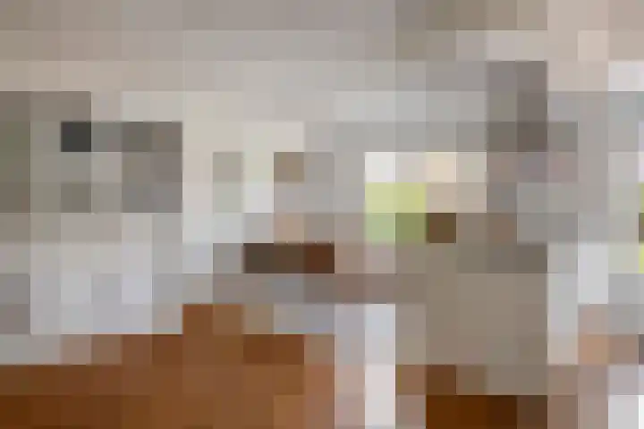 Zonnedauw 56 Tiel thumbnail 12