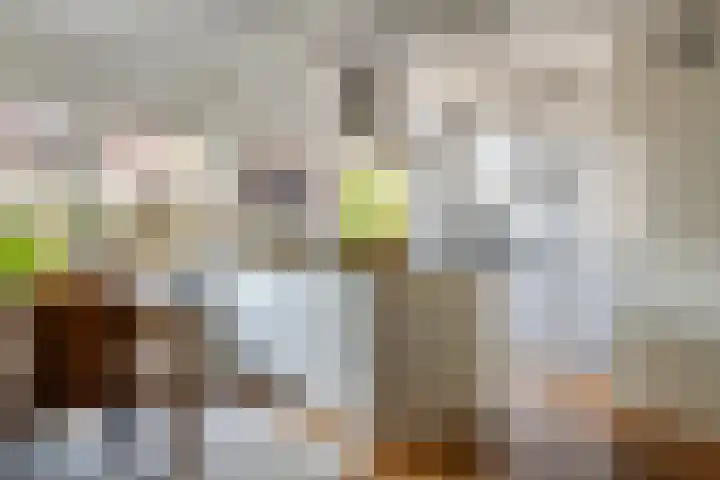 Zonnedauw 56 Tiel thumbnail 15