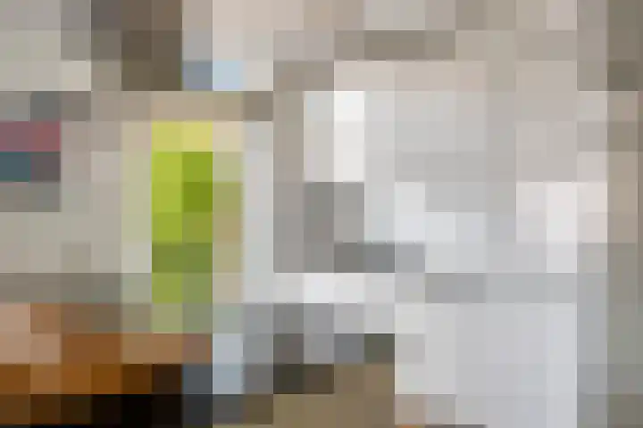 Zonnedauw 56 Tiel thumbnail 16