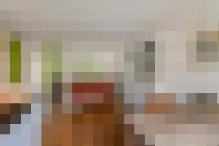 Zonnedauw 56 Tiel thumbnail 18