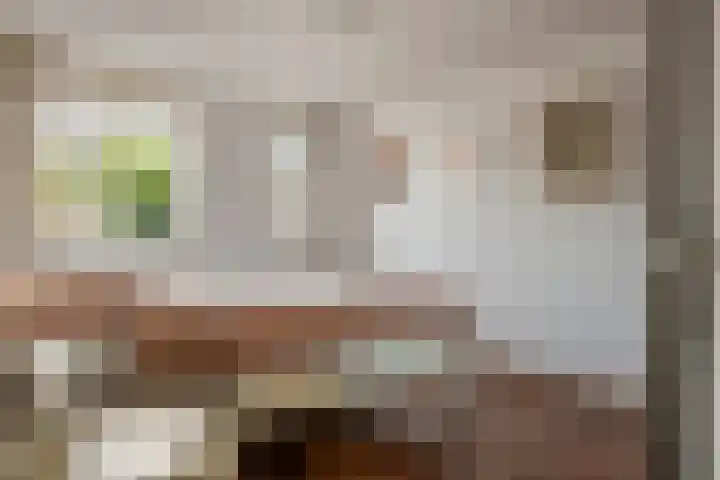 Zonnedauw 56 Tiel thumbnail 21
