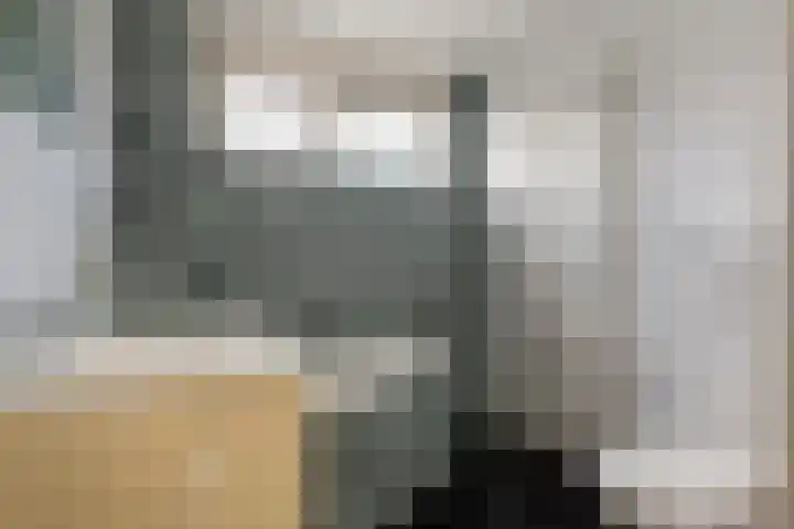 Zonnedauw 56 Tiel thumbnail 26