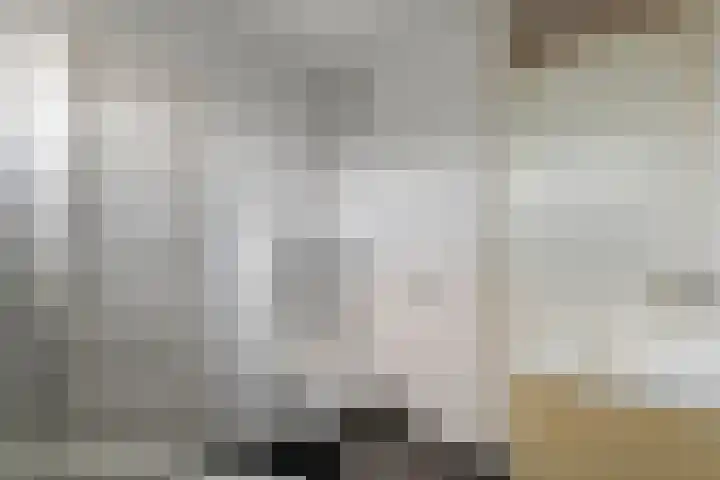 Zonnedauw 56 Tiel thumbnail 27