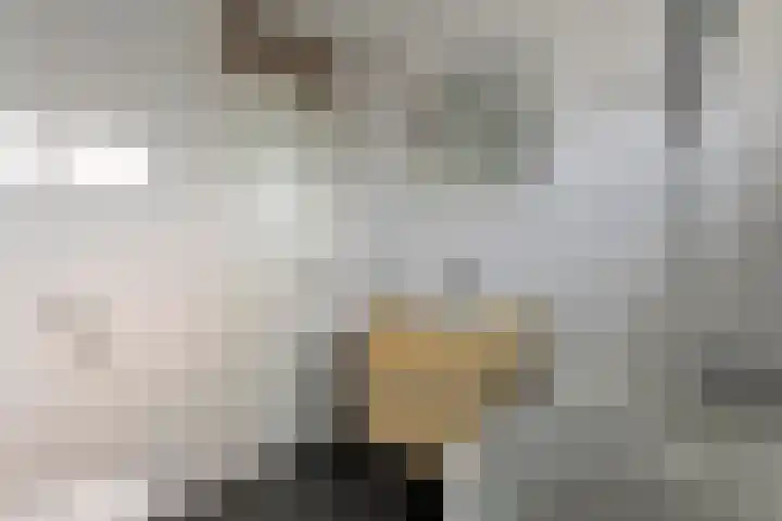 Zonnedauw 56 Tiel thumbnail 28