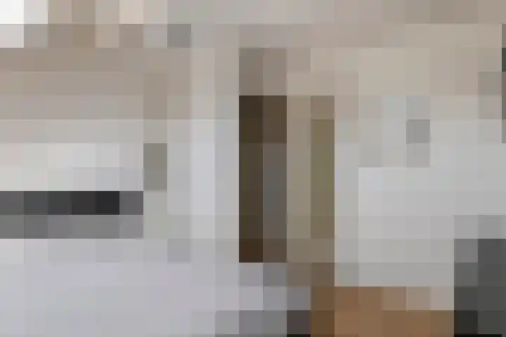 Zonnedauw 56 Tiel thumbnail 30