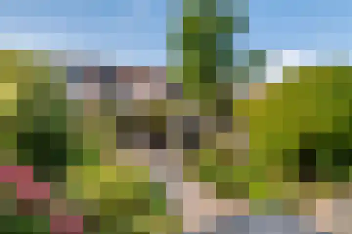 Zonnedauw 56 Tiel thumbnail 34
