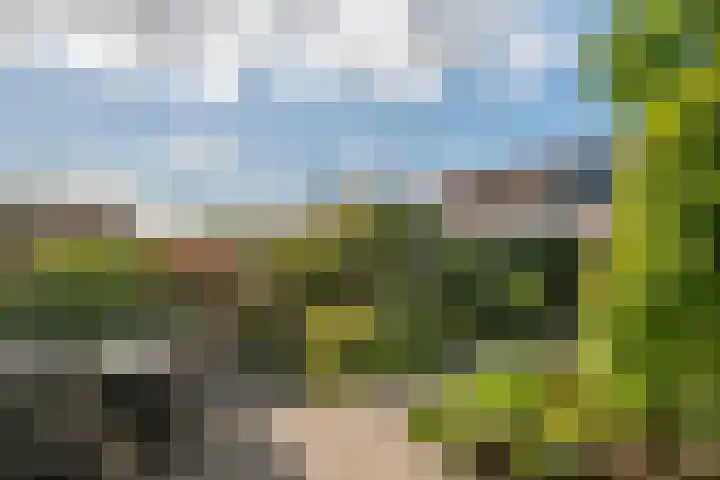 Zonnedauw 56 Tiel thumbnail 35