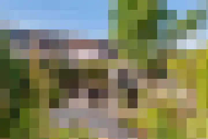 Zonnedauw 56 Tiel thumbnail 36