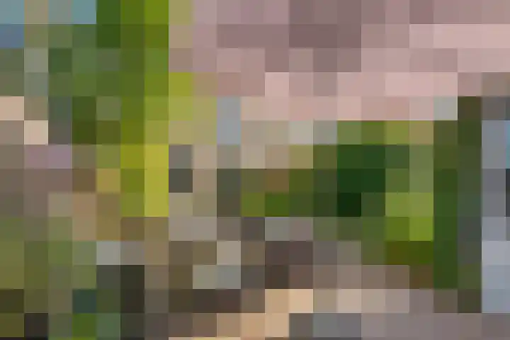 Zonnedauw 56 Tiel thumbnail 37