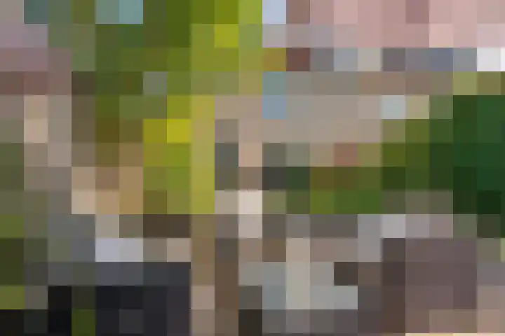 Zonnedauw 56 Tiel thumbnail 38
