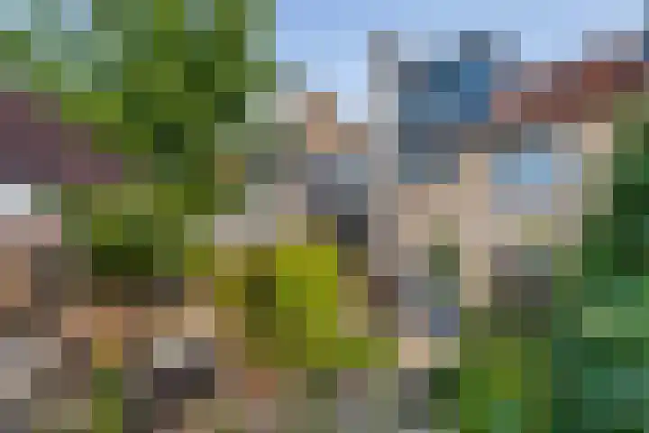 Zonnedauw 56 Tiel thumbnail 39