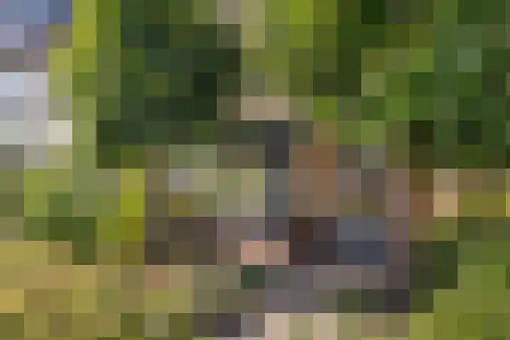 Zonnedauw 56 Tiel thumbnail 4