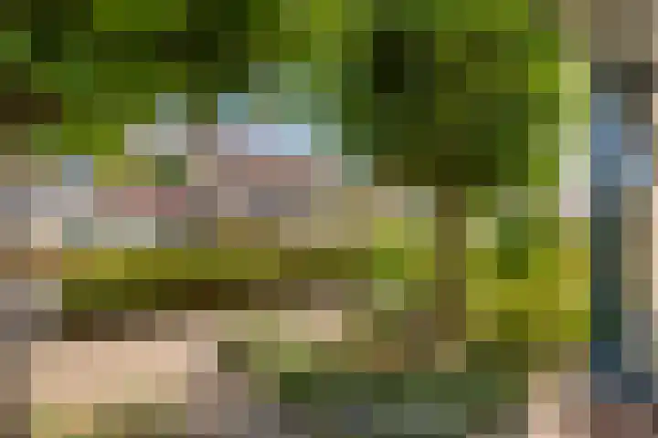 Zonnedauw 56 Tiel thumbnail 40