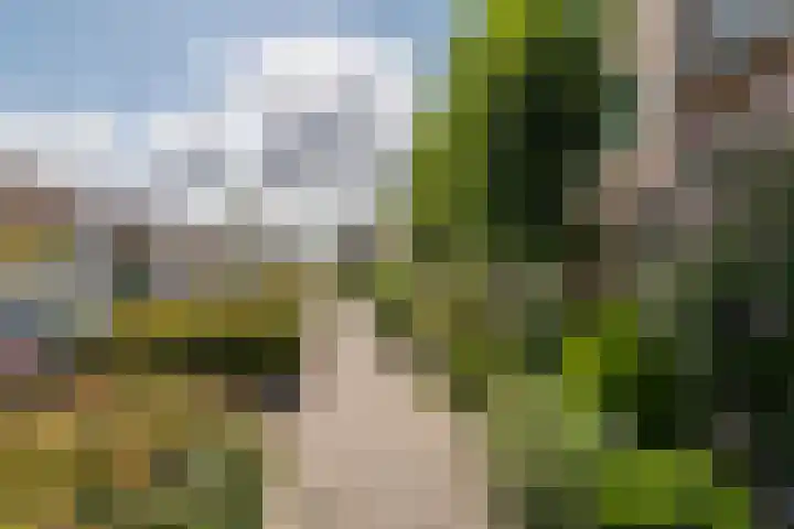 Zonnedauw 56 Tiel thumbnail 41