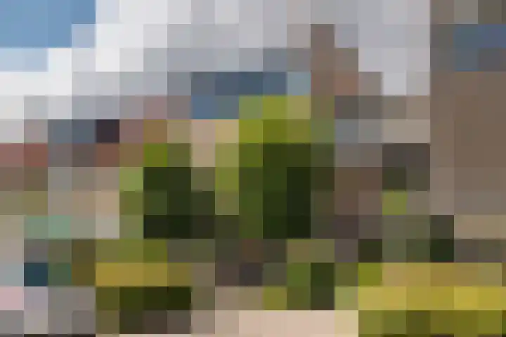 Zonnedauw 56 Tiel thumbnail 42