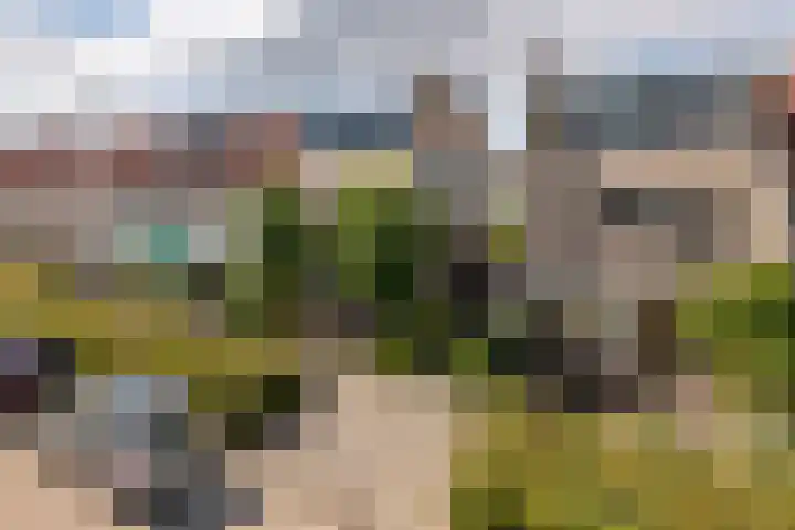 Zonnedauw 56 Tiel thumbnail 43