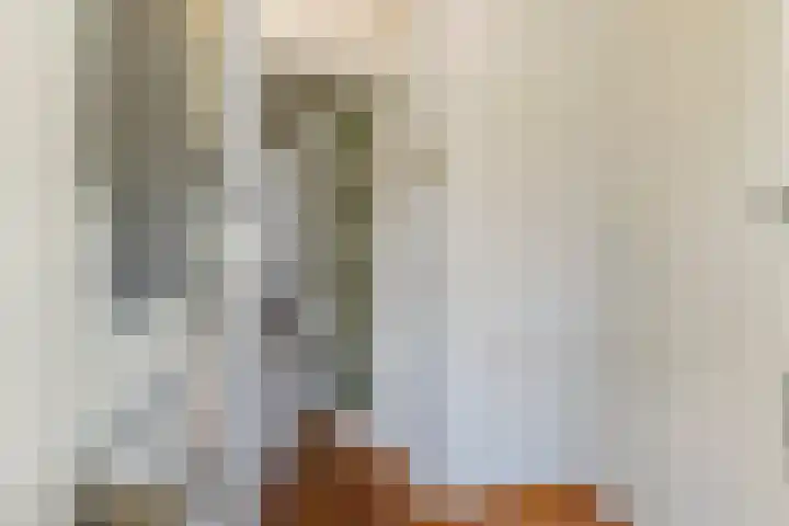 Zonnedauw 56 Tiel thumbnail 5
