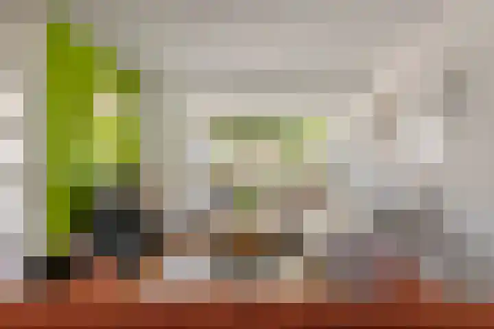 Zonnedauw 56 Tiel thumbnail 9
